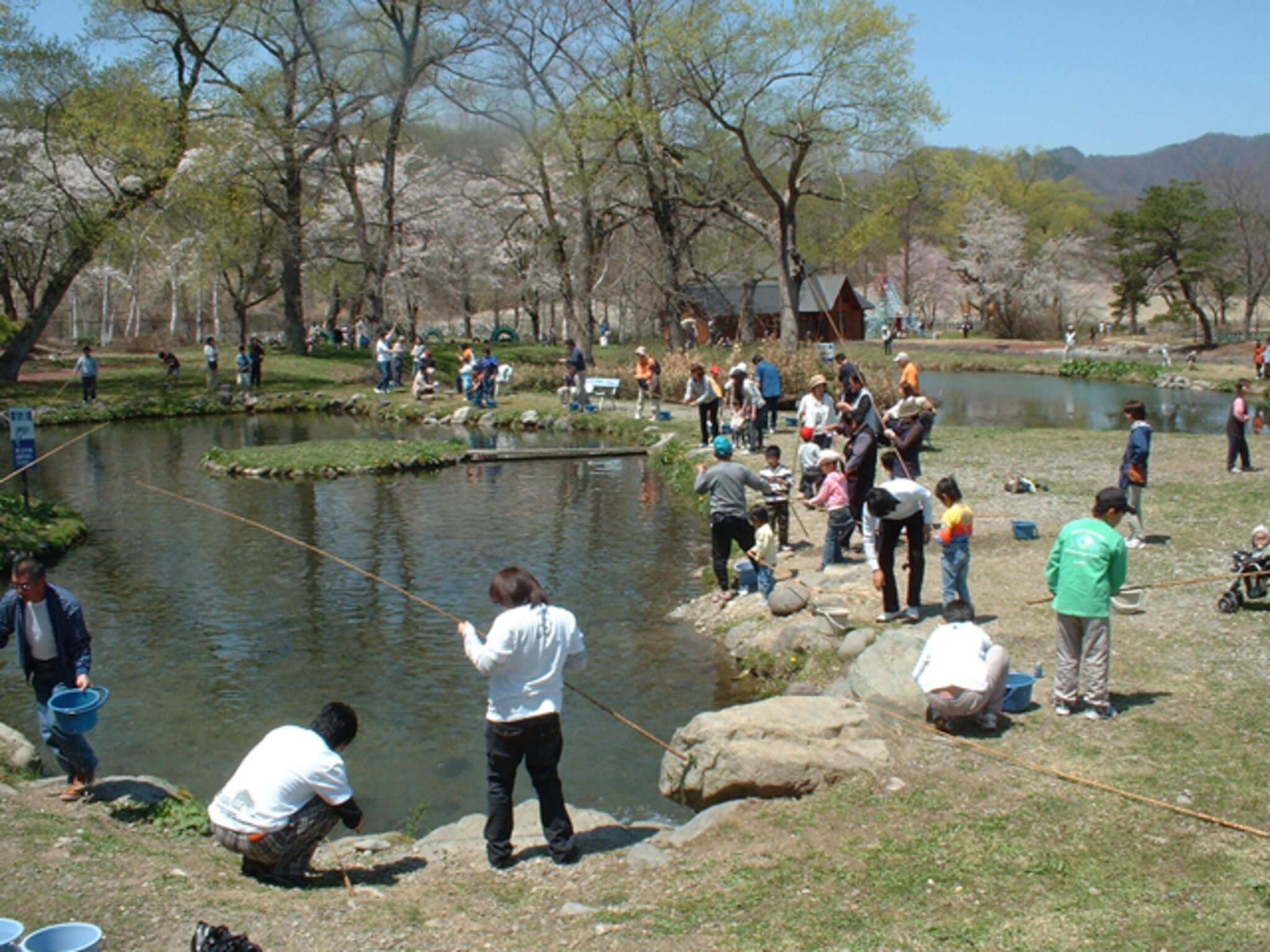 養鱒公園いこいの広場の代表写真2