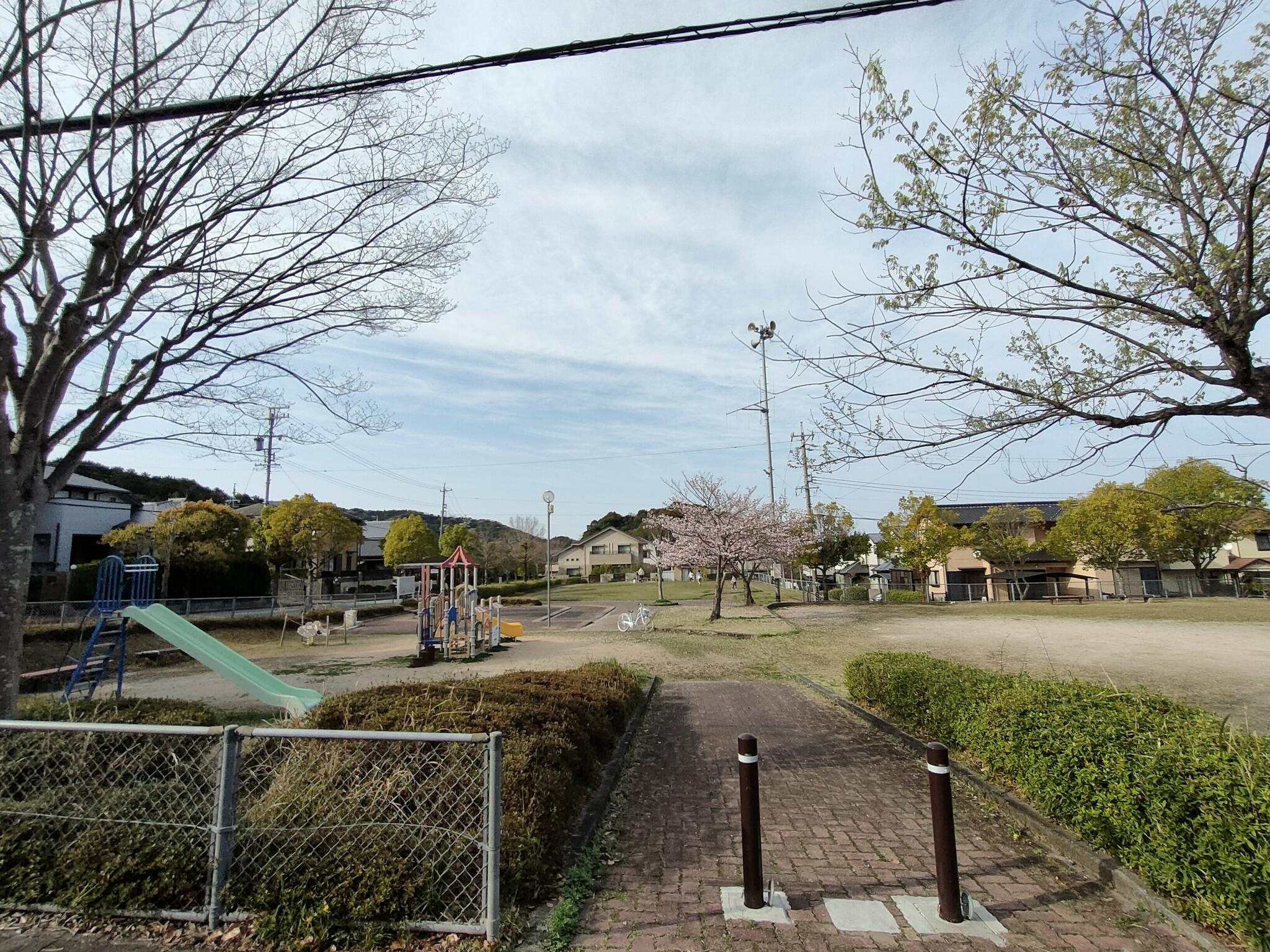 中央公園の代表写真2