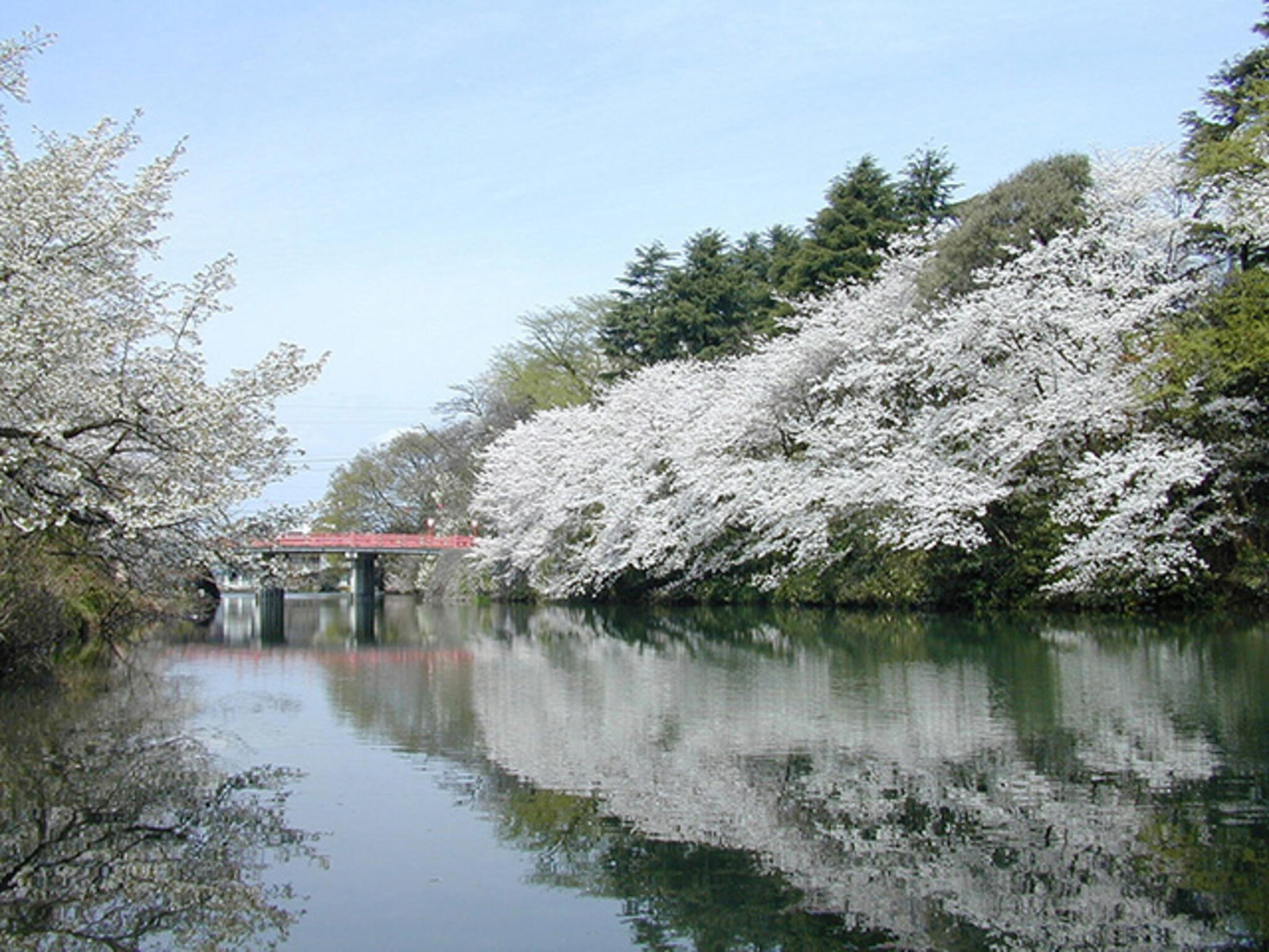 高岡古城公園の代表写真6