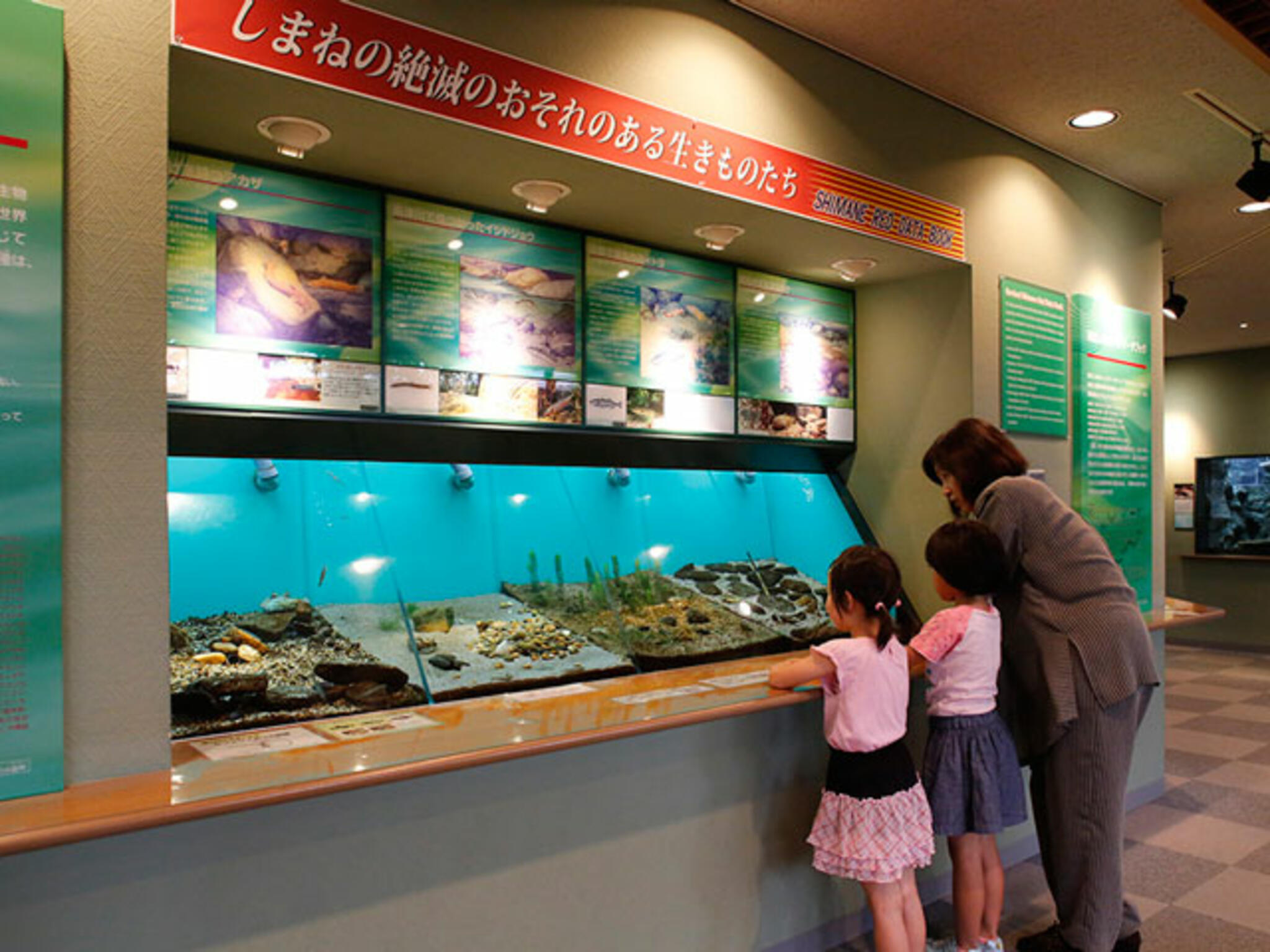 島根県立宍道湖自然館ゴビウスの代表写真9