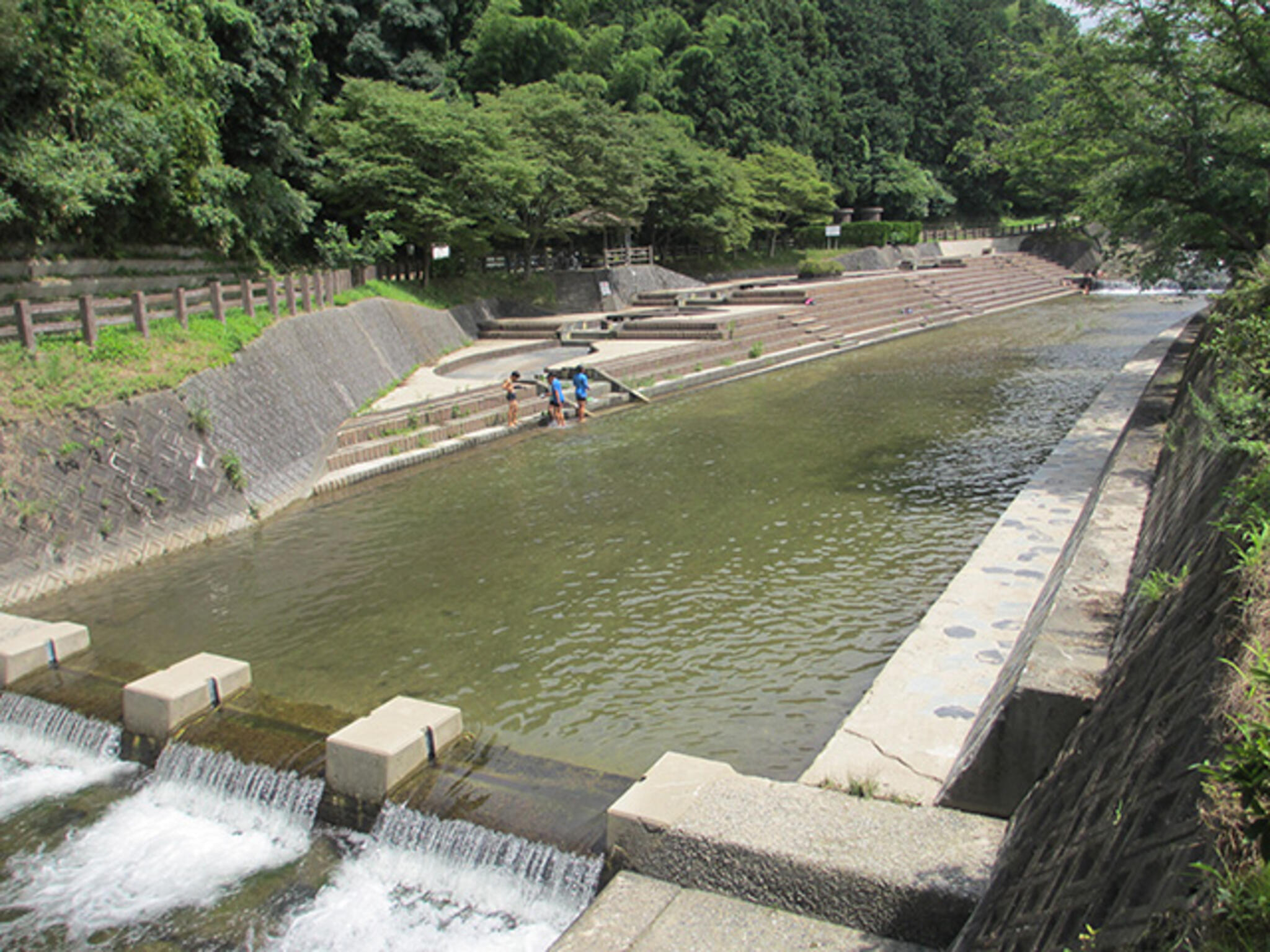 仲島水辺公園の代表写真1