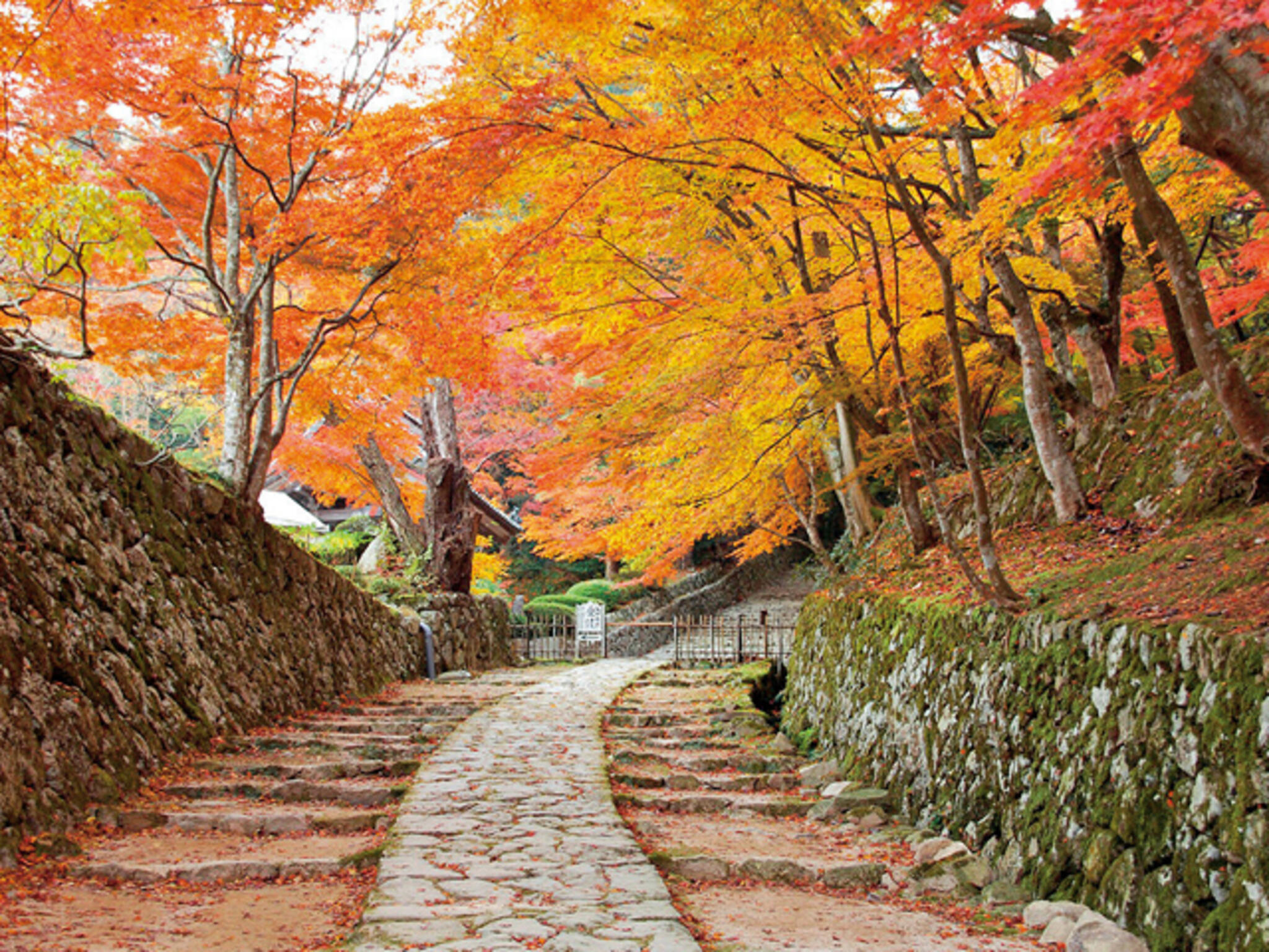 「国史跡」釈迦山 百済寺(湖東三山)の代表写真5