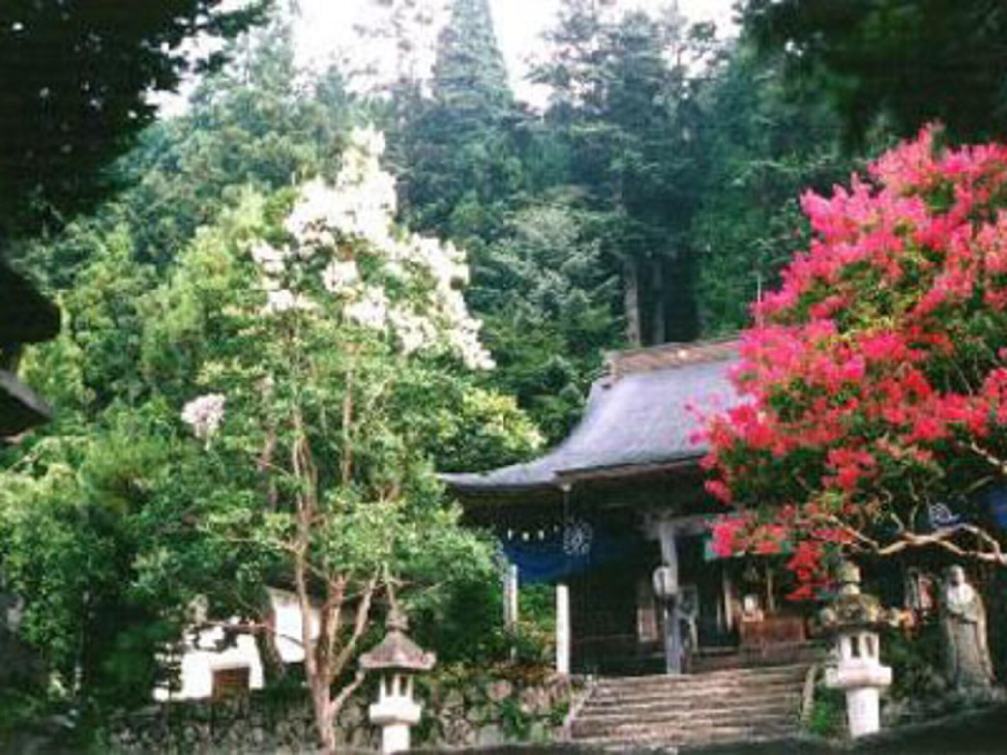 飛騨千光寺の代表写真1