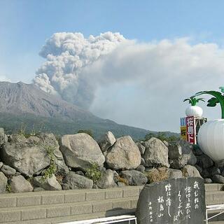 桜島物産館の写真4