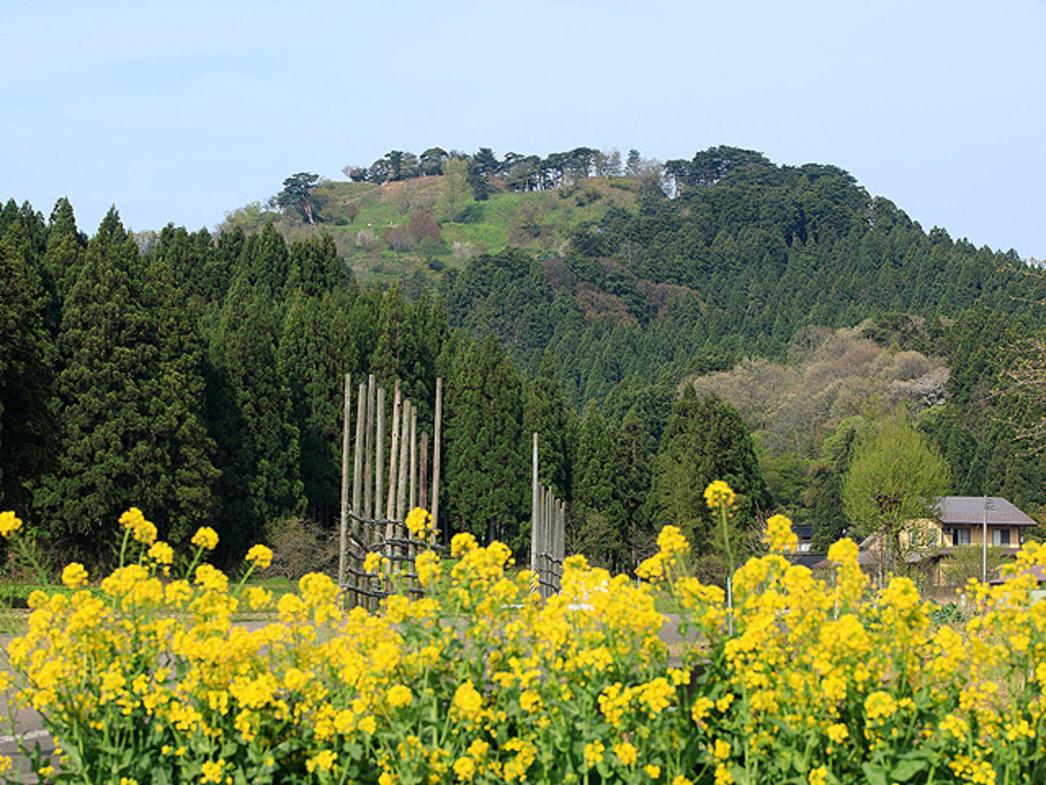 春日山城跡の代表写真3