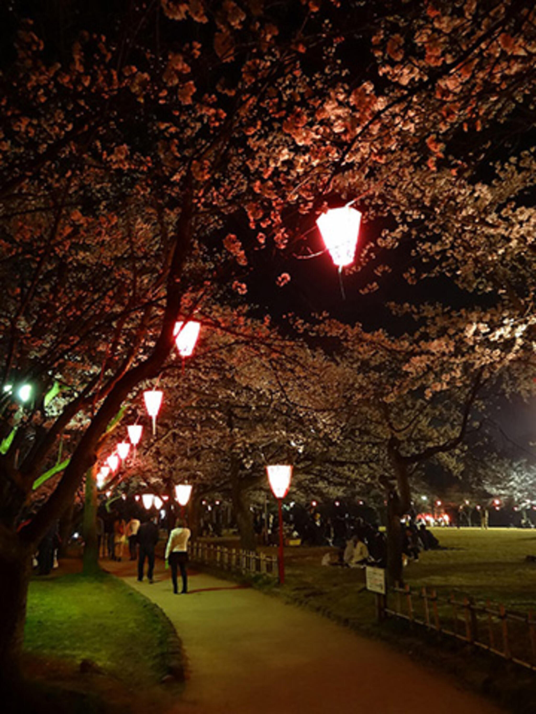 高岡古城公園の代表写真7