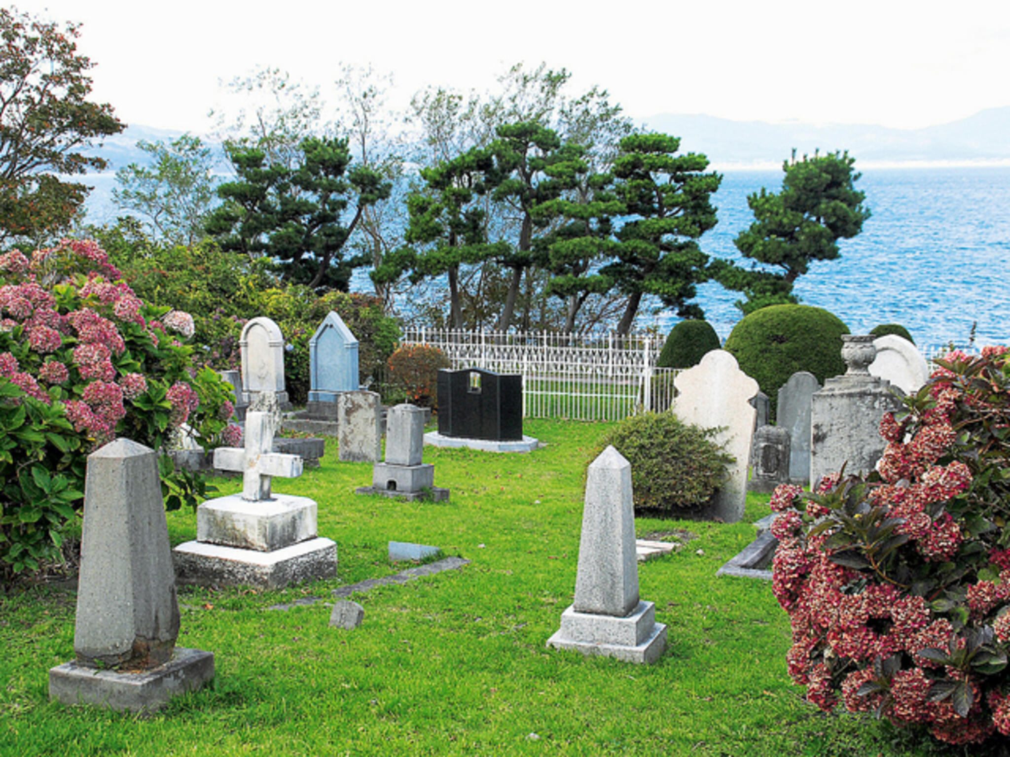 外国人墓地の代表写真7