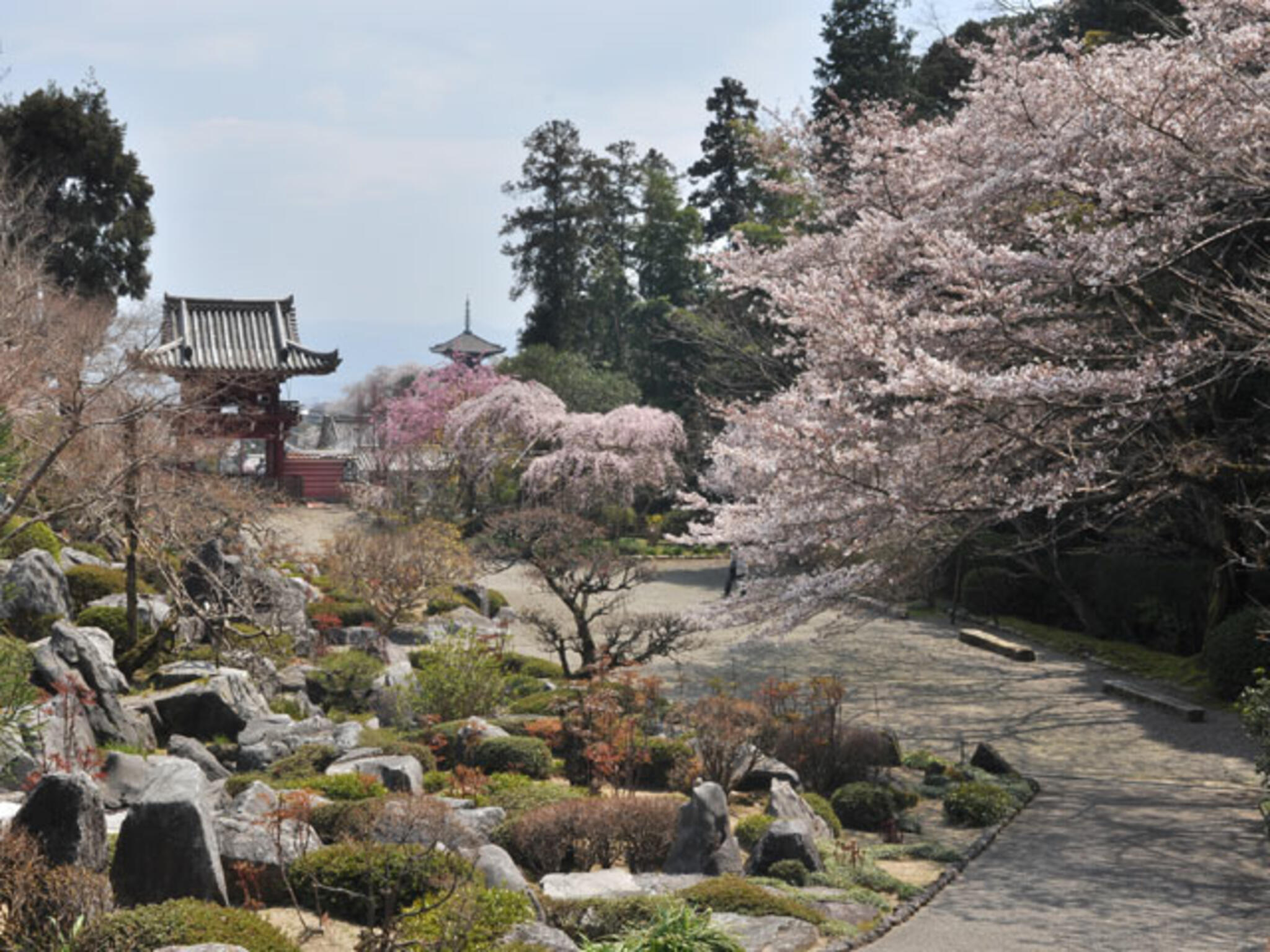 當麻寺 奥院の代表写真4