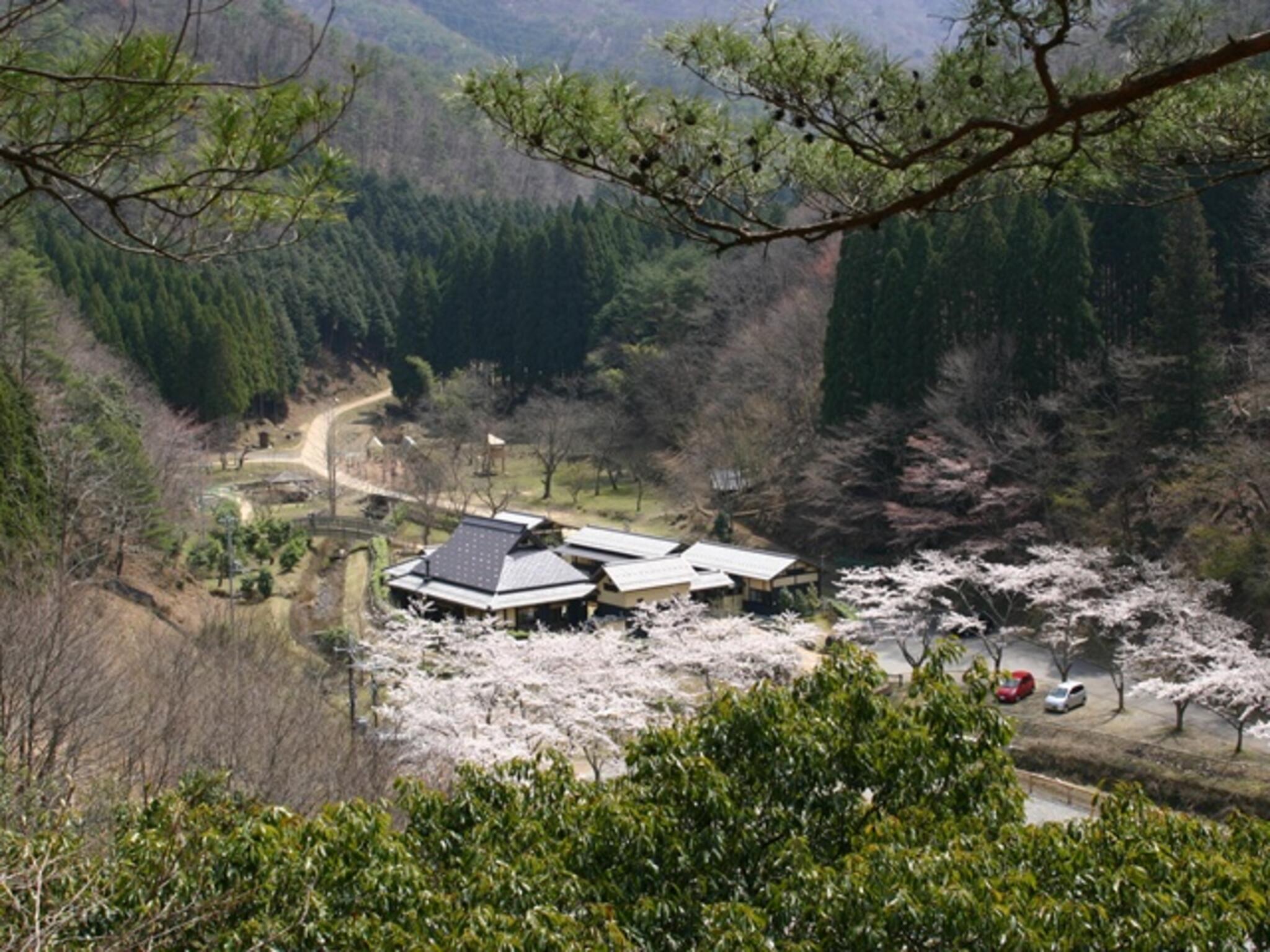 兵庫県立 ささやまの森公園の代表写真3