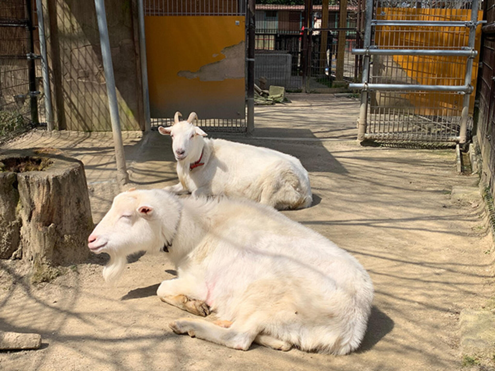 打吹公園の代表写真2