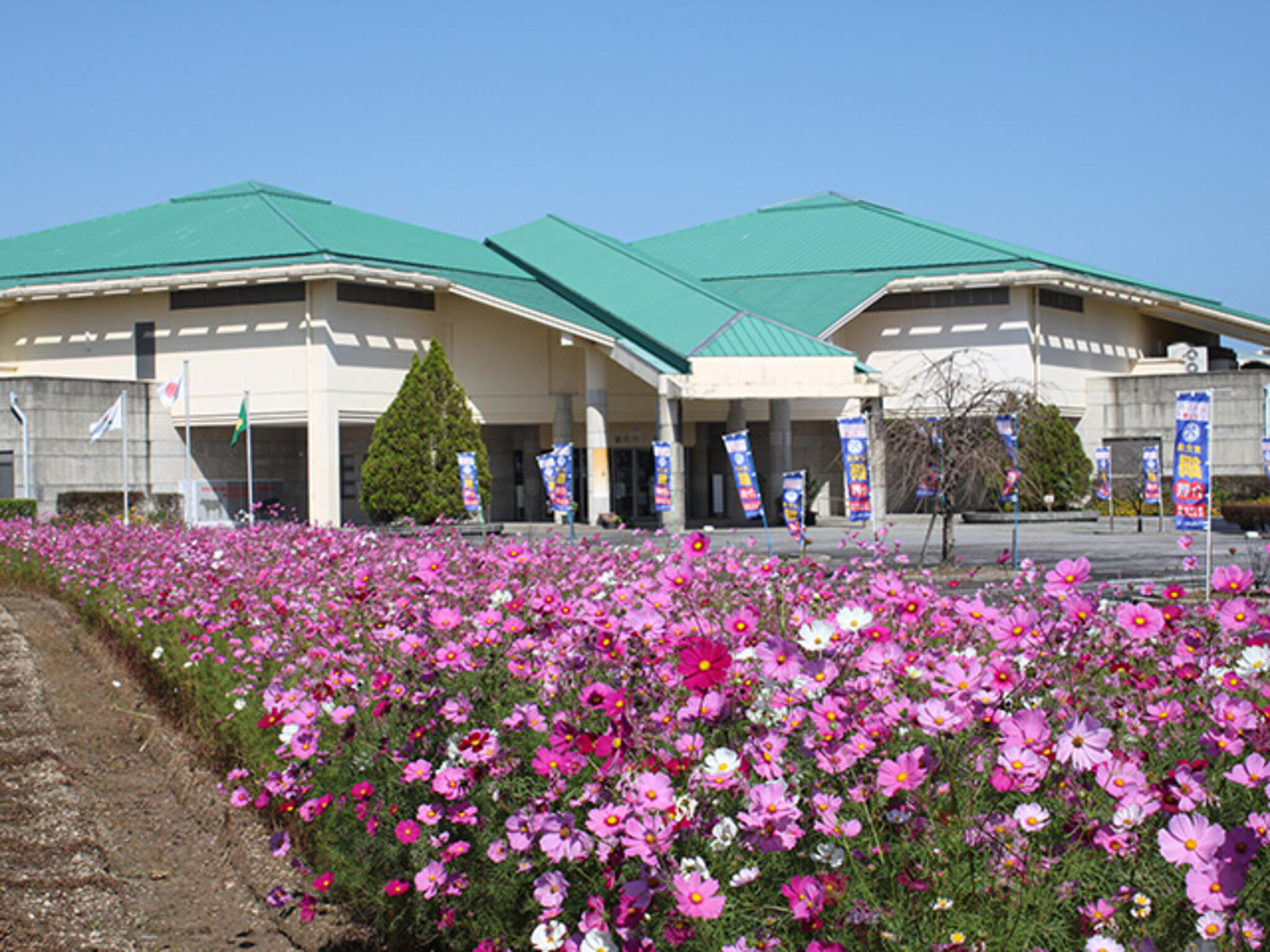 宮崎県農業科学公園 ルピナスパークの代表写真1
