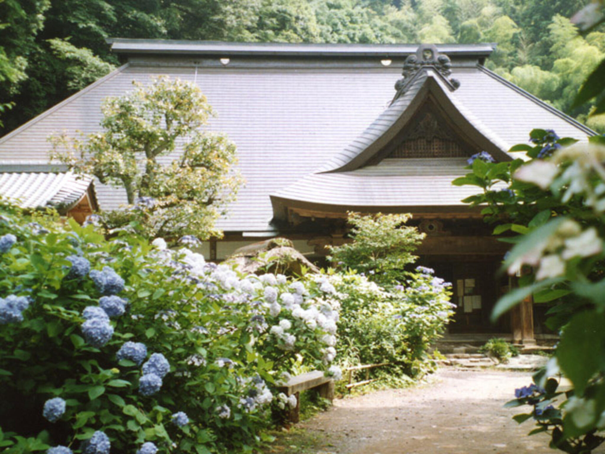 阿弥陀寺の代表写真1