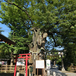 新田神社の写真5