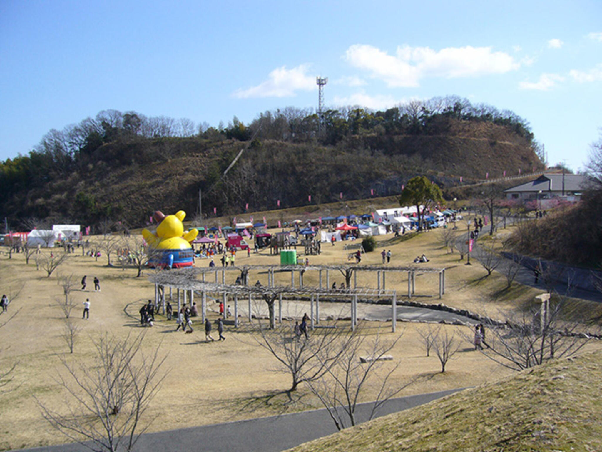 神崎梅園の代表写真3