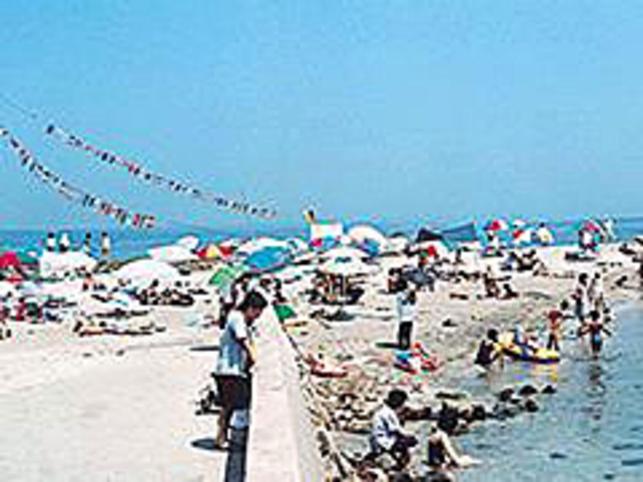 八ケ崎海水浴場の代表写真9