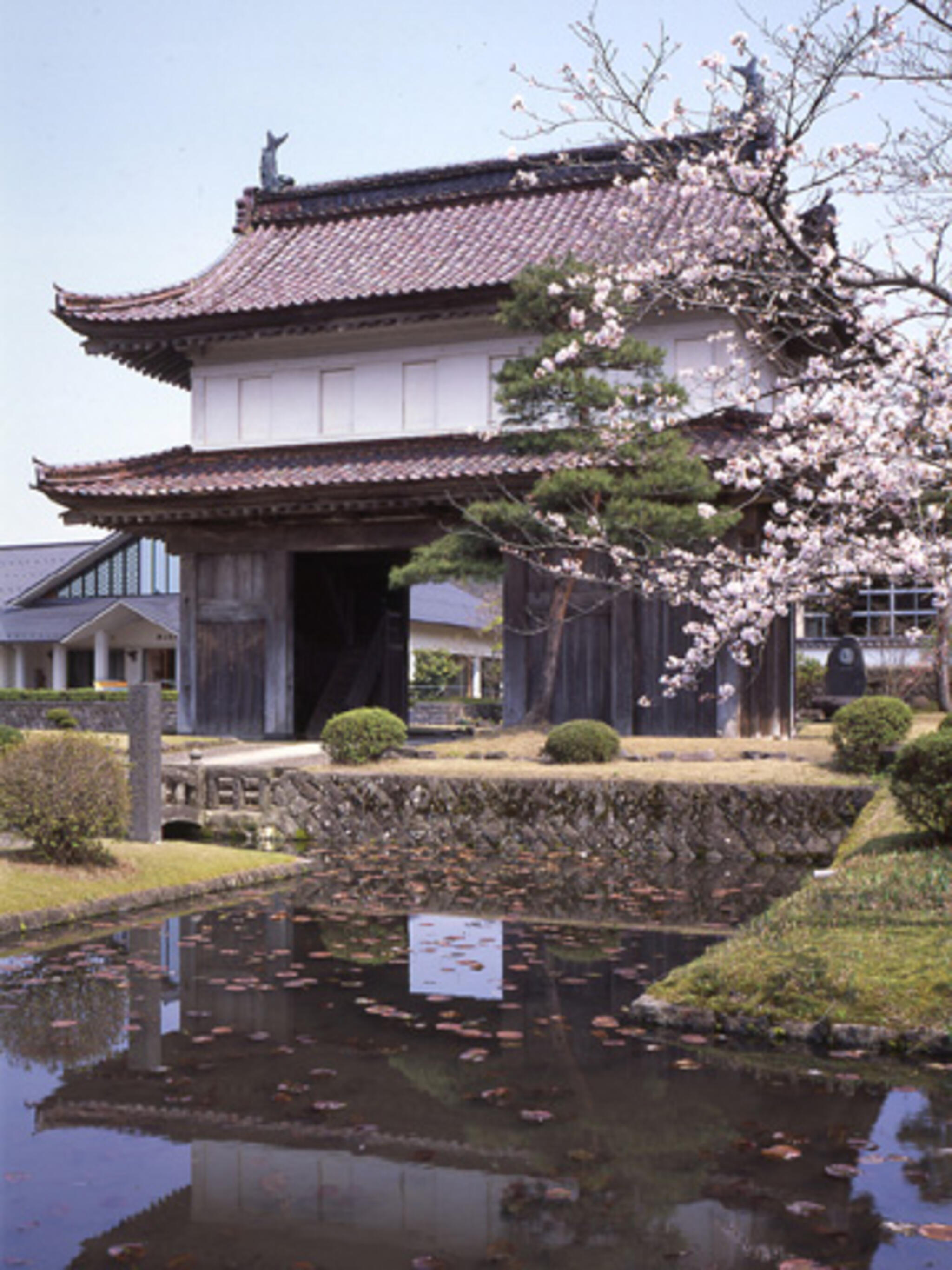 松山歴史公園の代表写真4