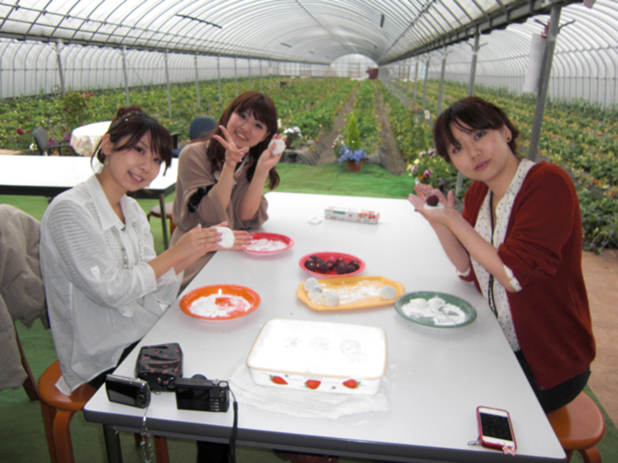 前田いちご園の代表写真7