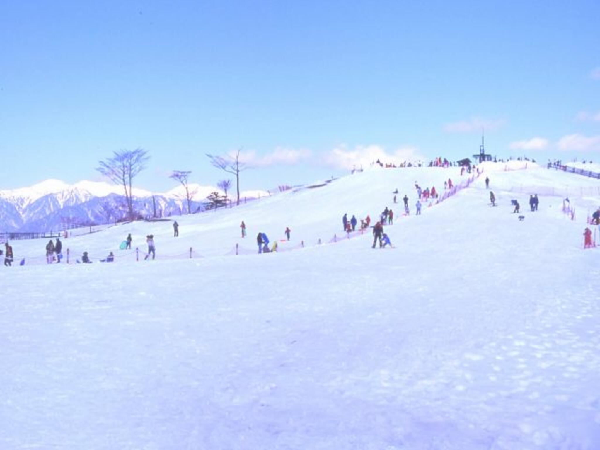 静岡市リバウェル井川スキー場の代表写真9