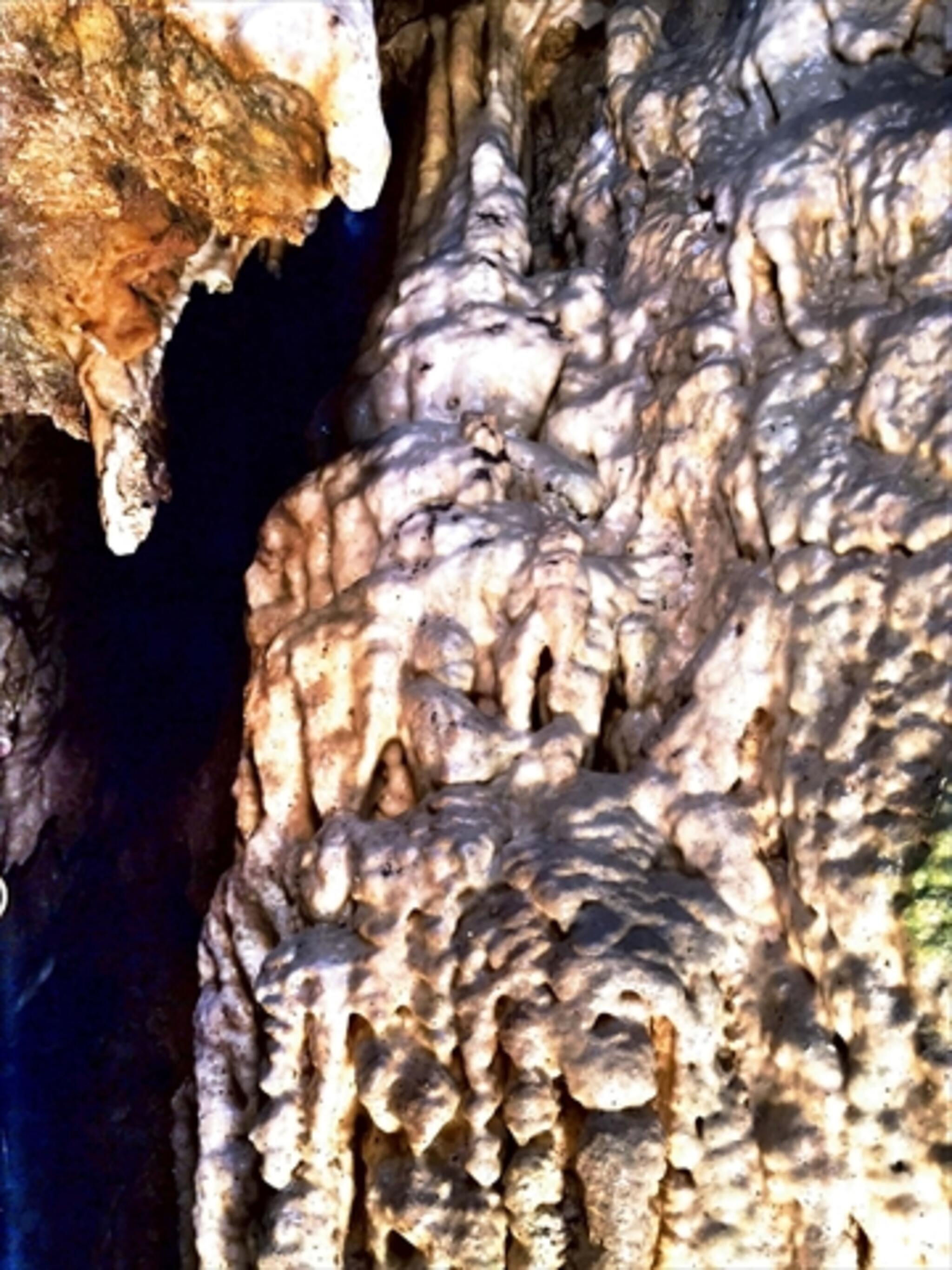 大岳鍾乳洞の代表写真7