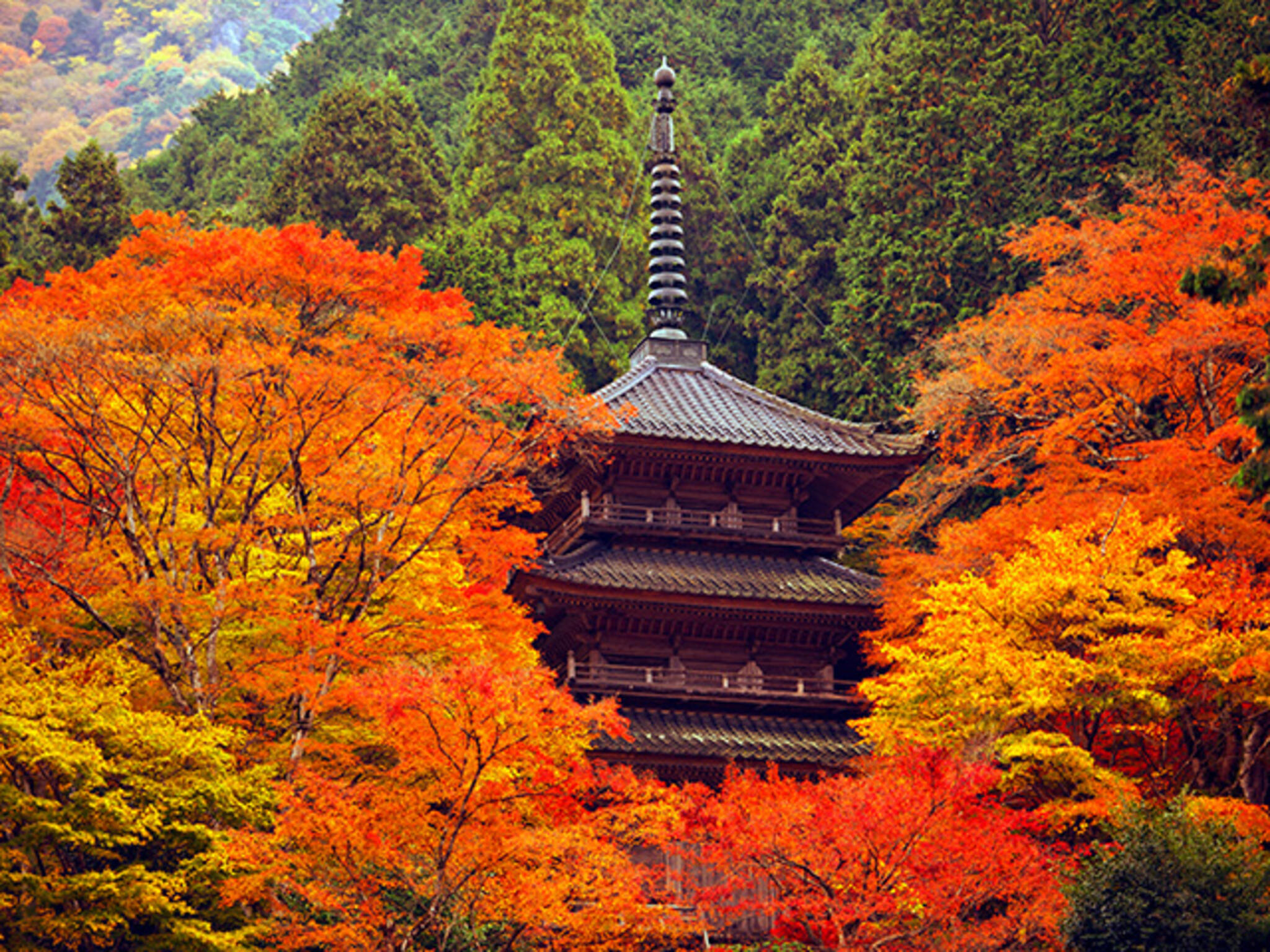 高源寺の代表写真3