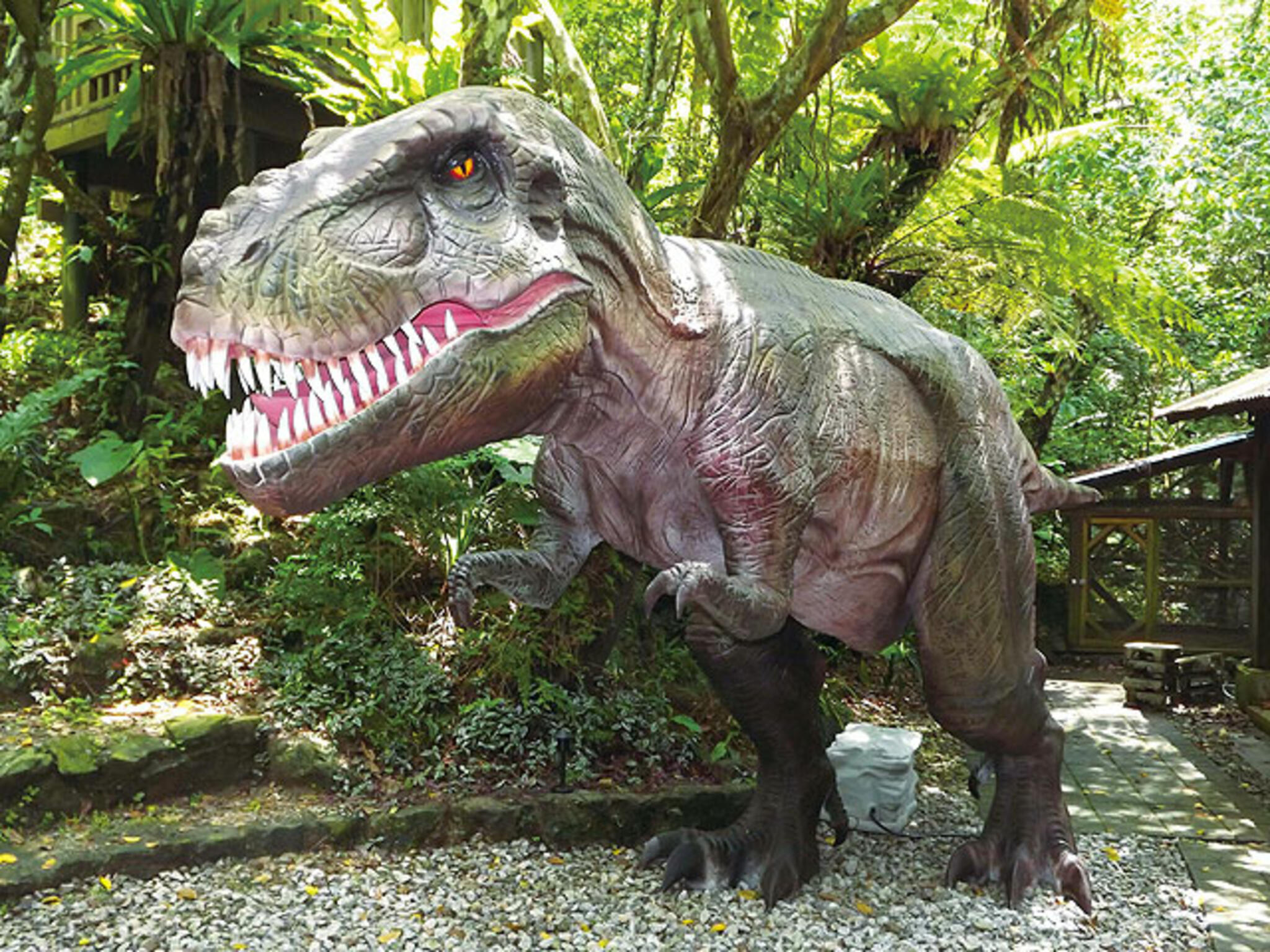 DINO恐竜PARK やんばる亜熱帯の森の代表写真9