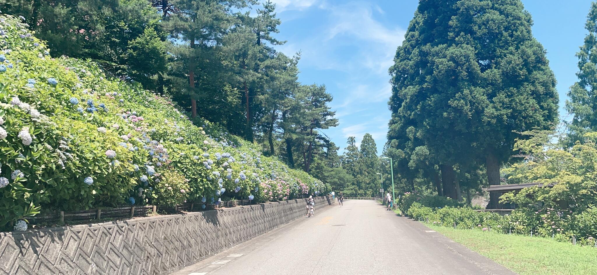 県民公園太閤山ランドの代表写真8