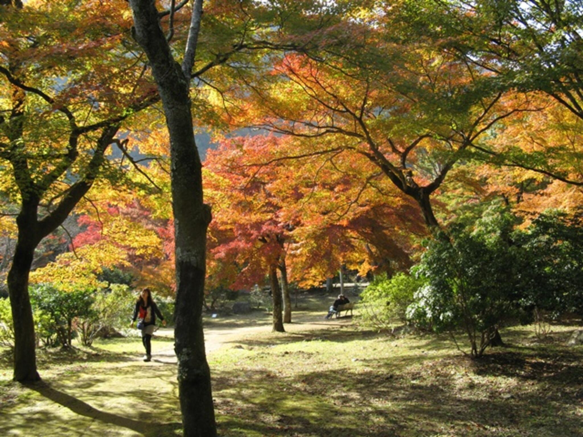 嵐山公園 亀山地区の代表写真3