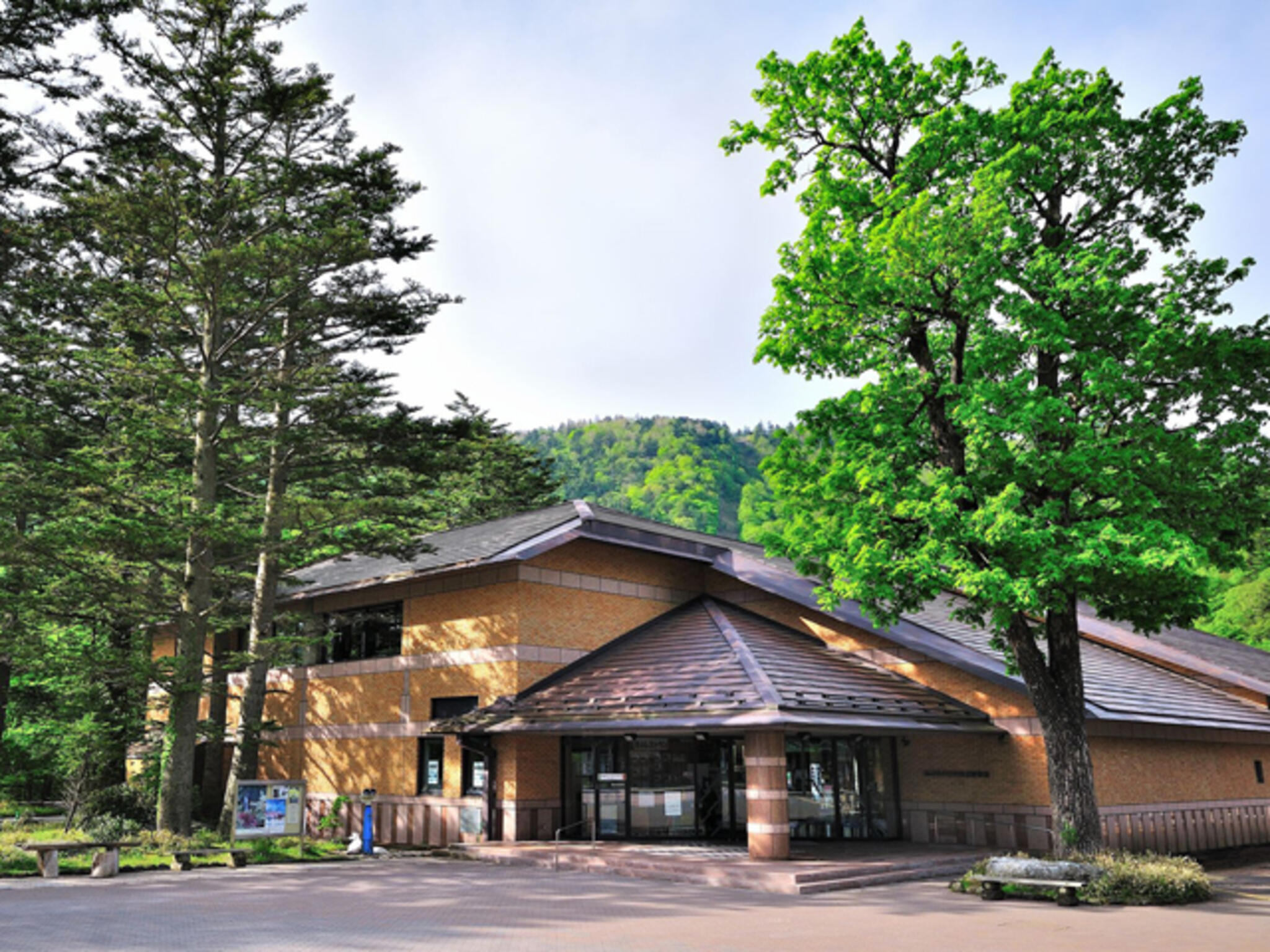 栃木県立日光自然博物館の代表写真8