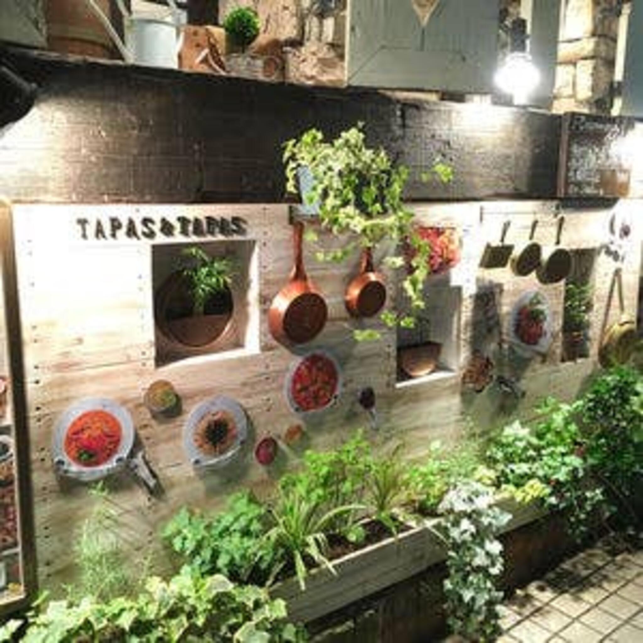 タパス&タパス 大森山王店の代表写真6