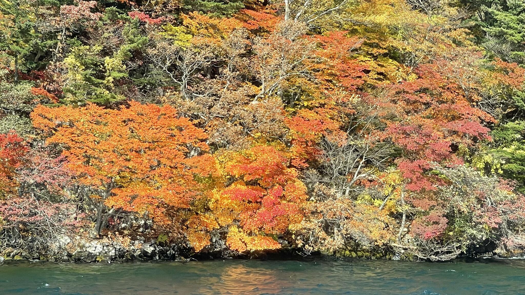 十和田湖遊覧船の代表写真10
