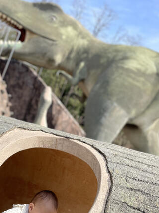 双葉水辺公園のクチコミ写真1