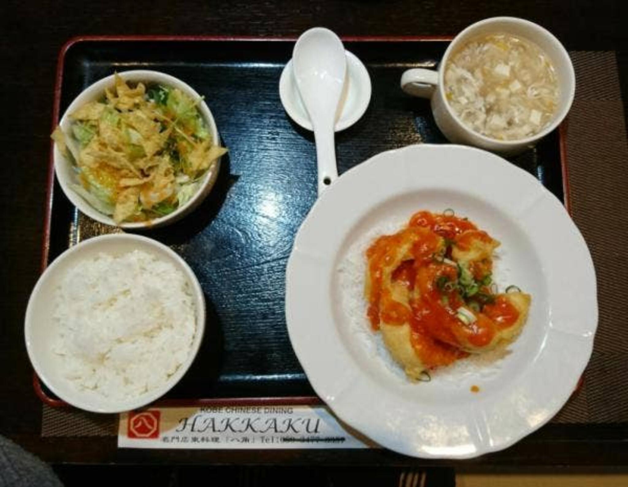 広東料理 HAKKAKUの代表写真9