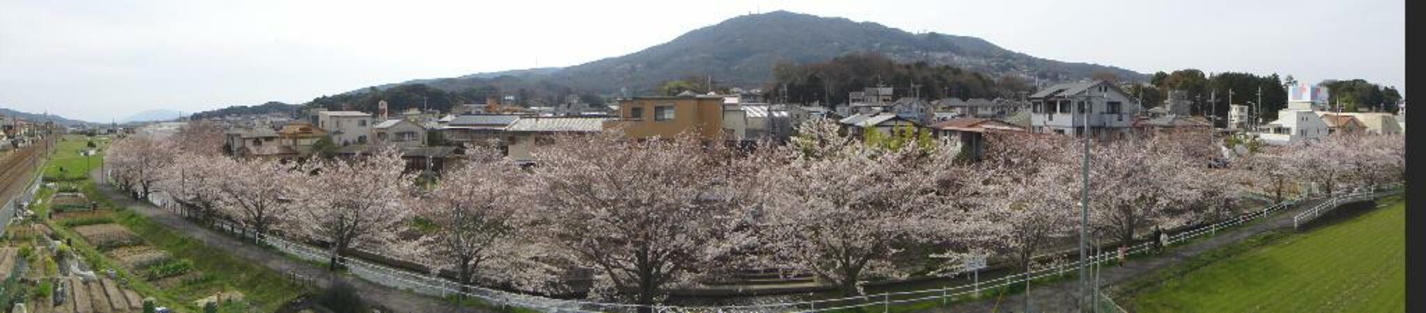 奈良県立竜田公園の代表写真9