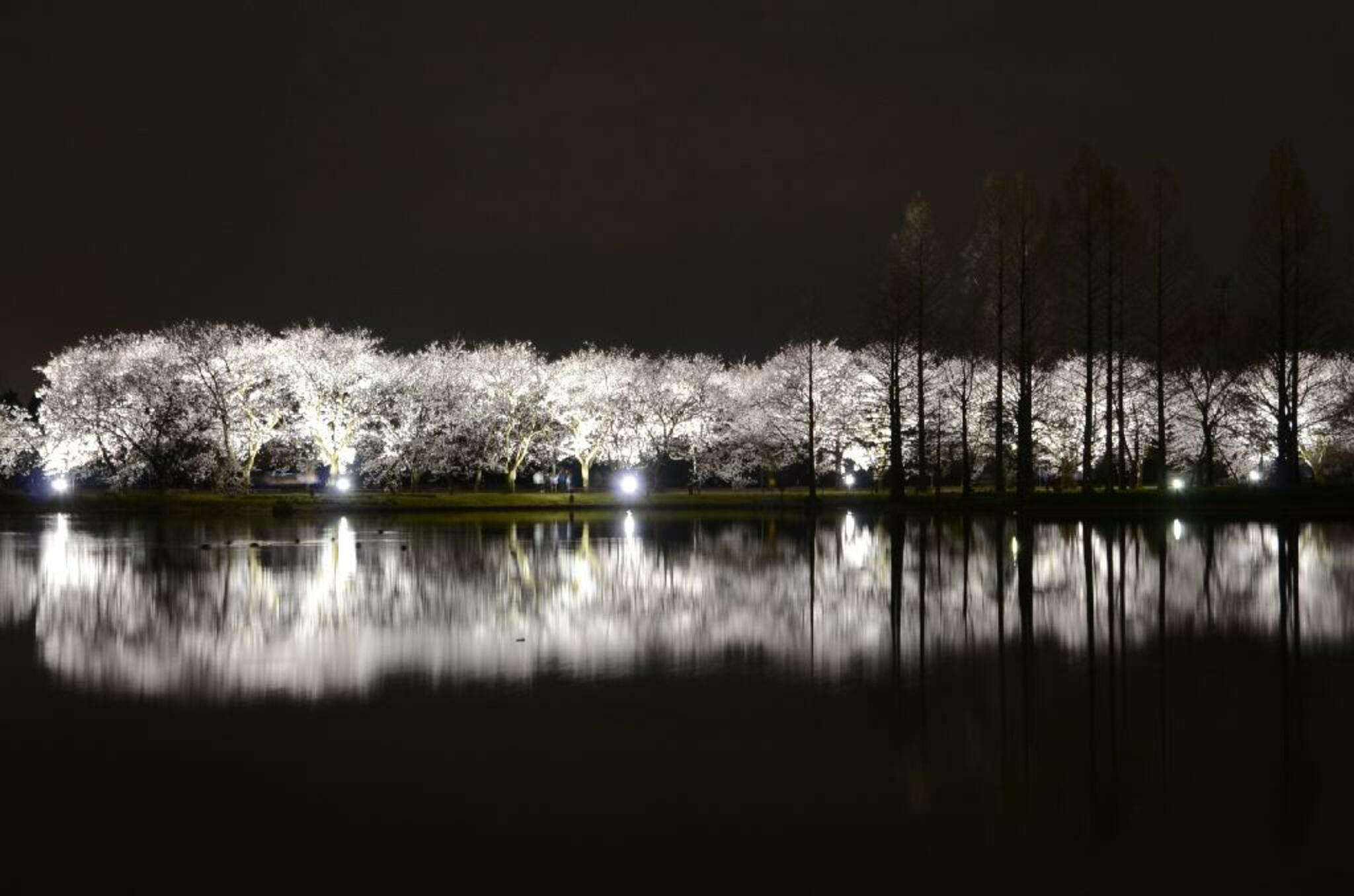 富山県中央植物園の代表写真4