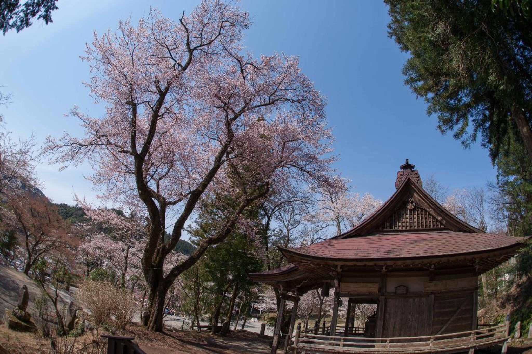 愛宕公園 - 郡上市八幡町旭/公園 | Yahoo!マップ