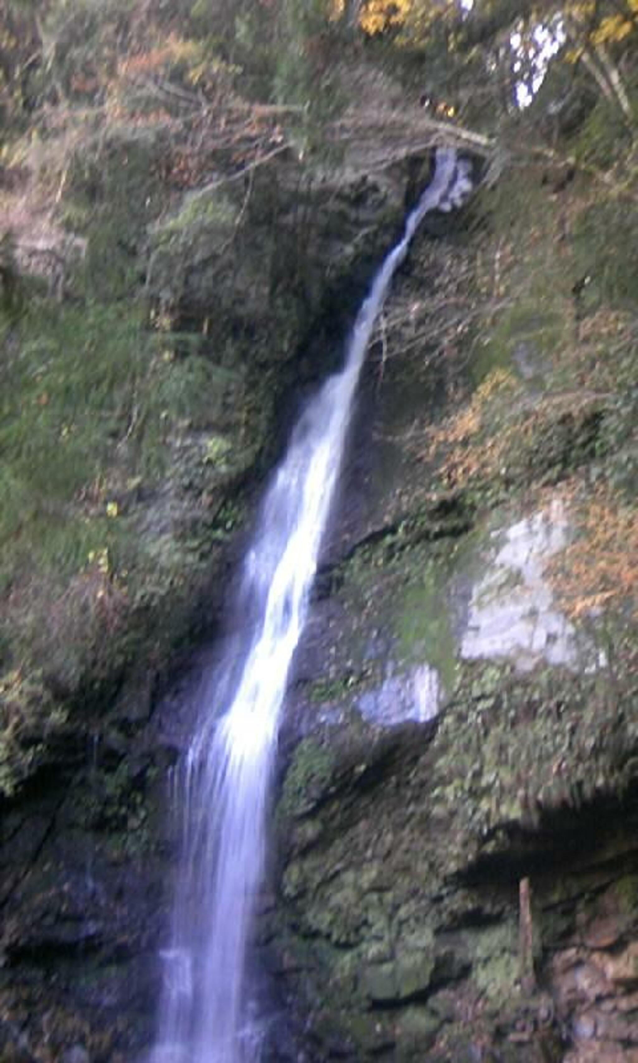 琵琶の滝の代表写真9