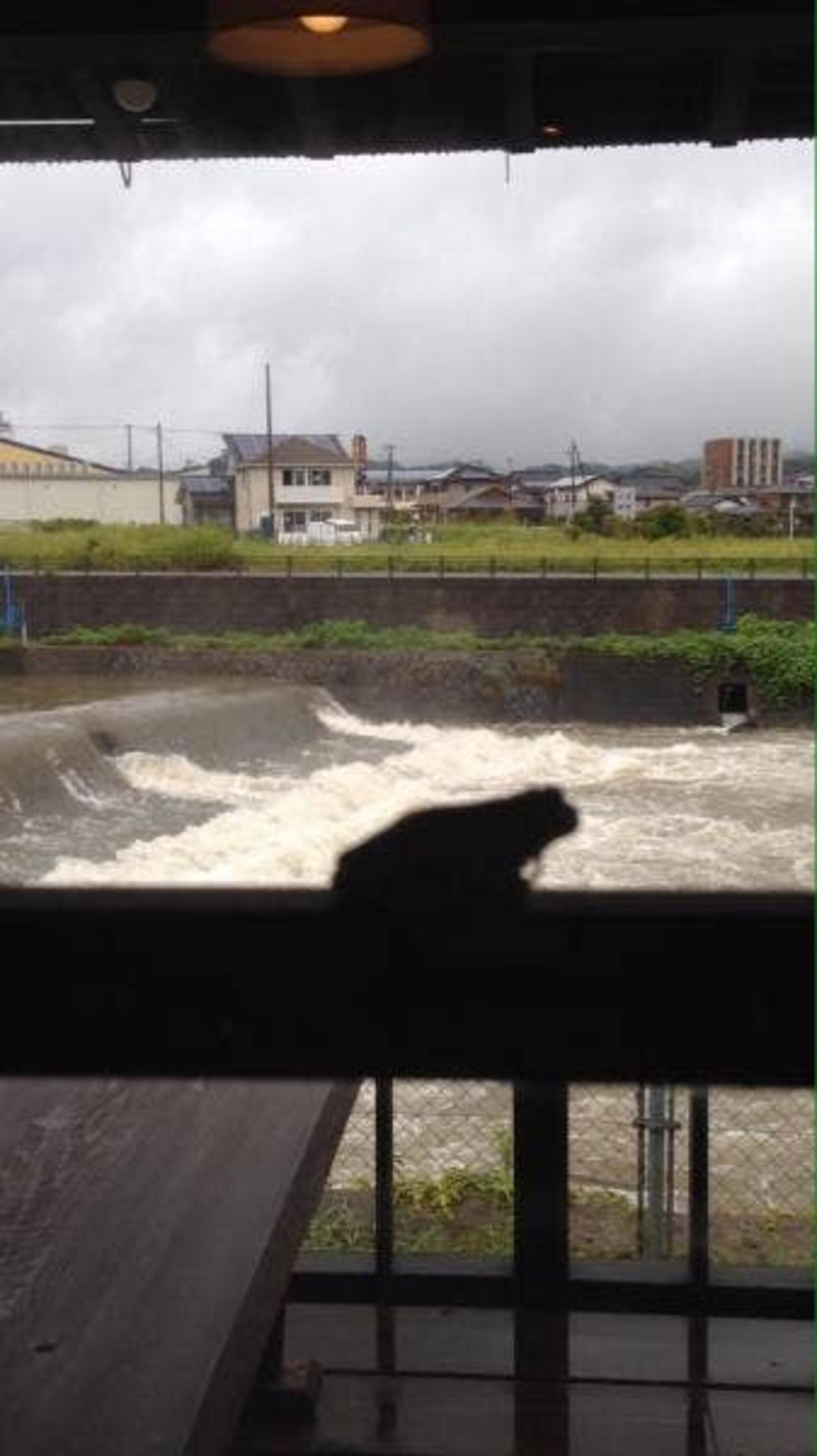 一粒茶屋 すいしゃの代表写真9