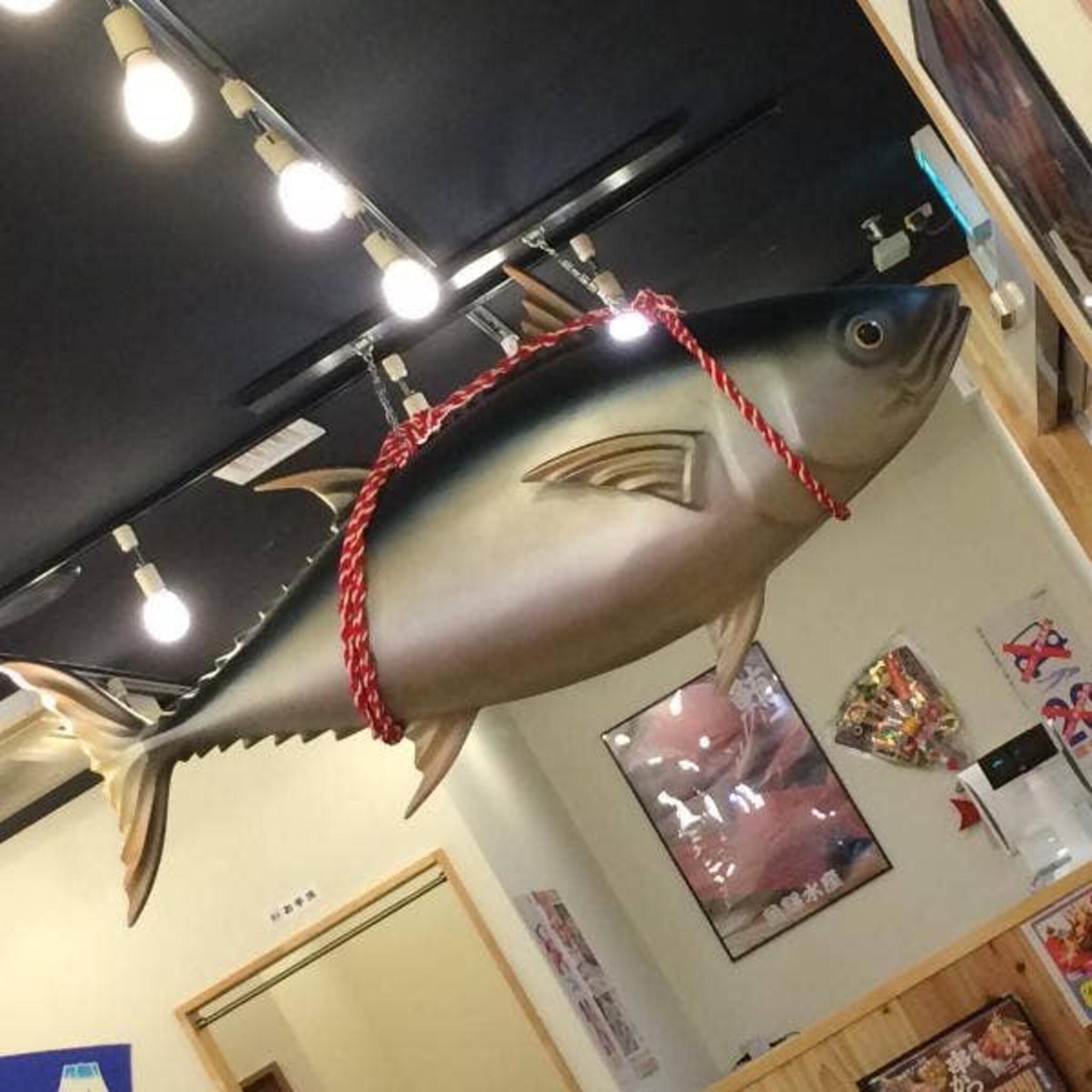 魚輝水産 天美店の代表写真4