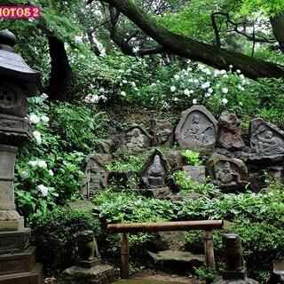 浄慶寺の写真7