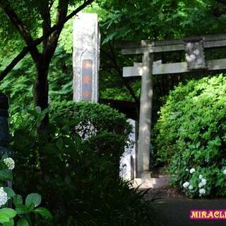 浄慶寺の写真10