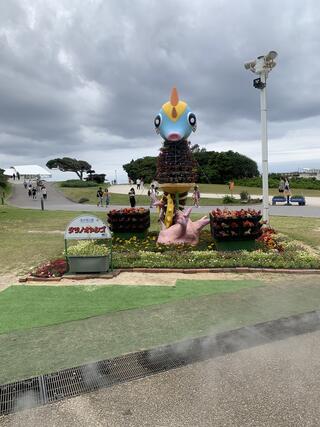 国営沖縄記念公園海洋博公園のクチコミ写真1
