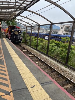 嵯峨野トロッコ列車のクチコミ写真2