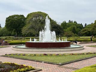 茨城県植物園のクチコミ写真1