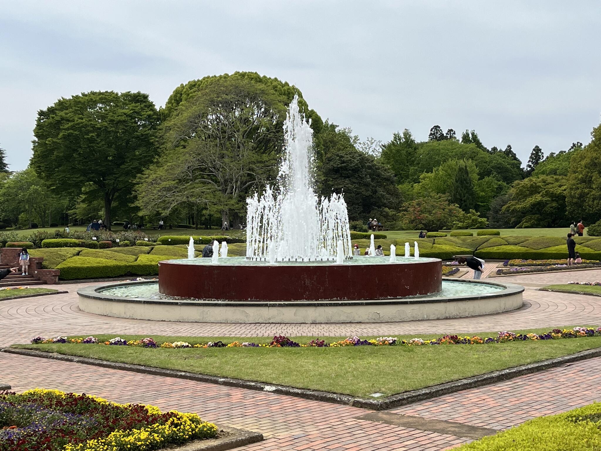 茨城県植物園の代表写真2