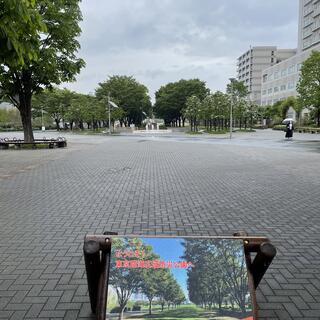 東京臨海広域防災公園の写真4