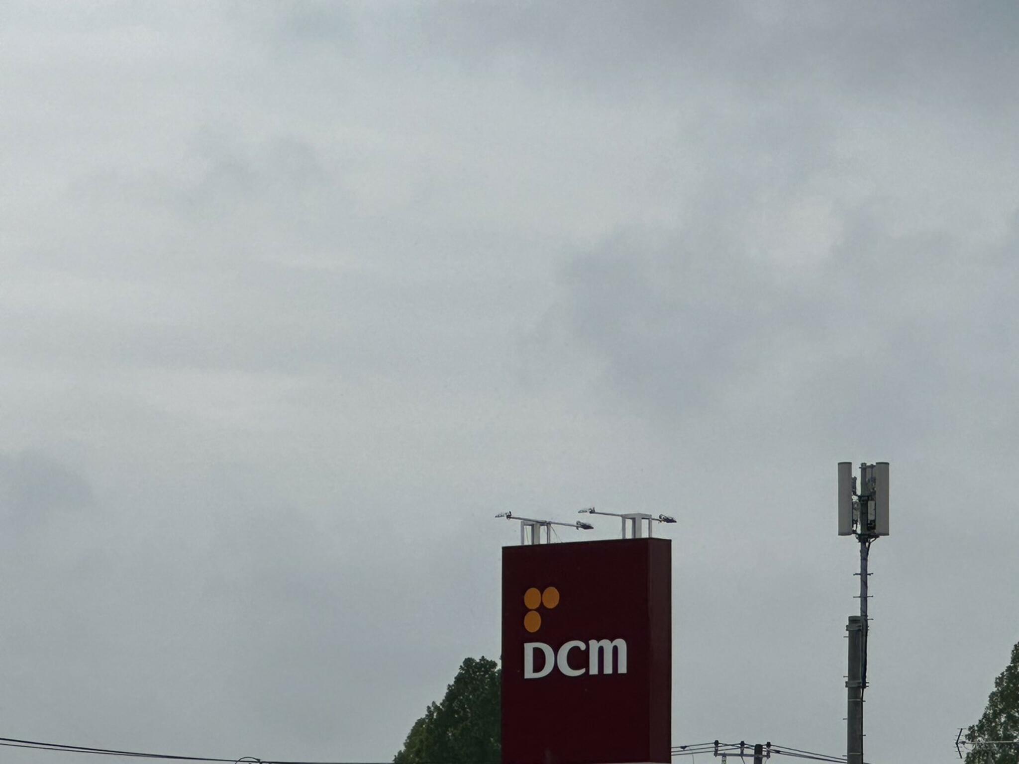 DCM 取手店の代表写真10