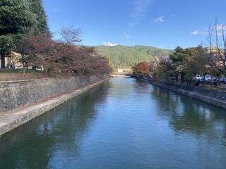 岡崎公園のクチコミ写真1