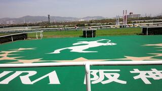 JRA 阪神競馬場のクチコミ写真1