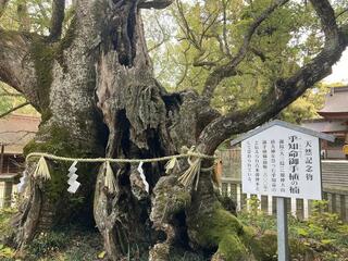大山祇神社のクチコミ写真1