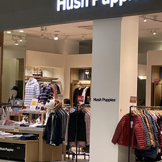 Hush store puppies vivocity